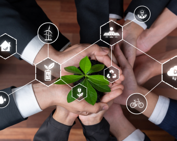 Sostenibilidad Empresarial